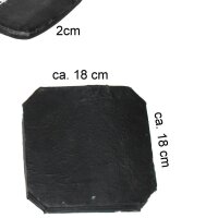 ballistische Einlagen Harteinlagen Keramikplatten SK4 Schutzplatte gewölbt